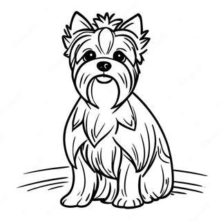 Pagini De Colorat Cu Yorkie Realist Stând Frumos 21362-16895