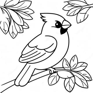 صفحة تلوين طيور الكاردينال 21462-16962