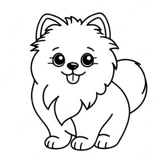 Pagina Da Colorare Di Un Cucciolo Di Pomerania 21542-17022