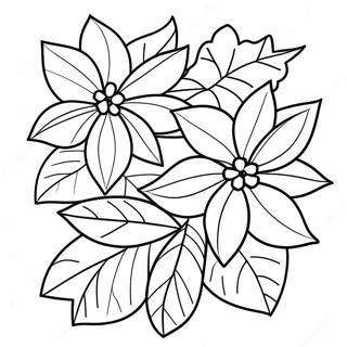 Pagina Da Colorare Della Bella Pianta Di Stella Di Natale 32604-25765