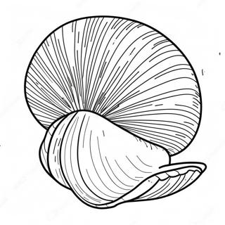 Clam Shell Coloring Page 42353-33453