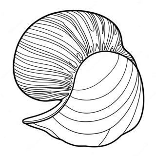 Clam Shell Coloring Page 42353-33455