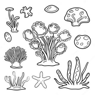 Página Para Colorir De Algas 62833-49740