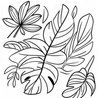 Página Para Colorir De Folhas De Palmeira Tropicais 72755-57594