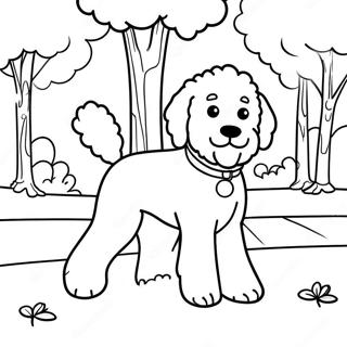 Pagina Da Colorare Di Un Soffice Goldendoodle Che Gioca Nel Parco 7881-6276