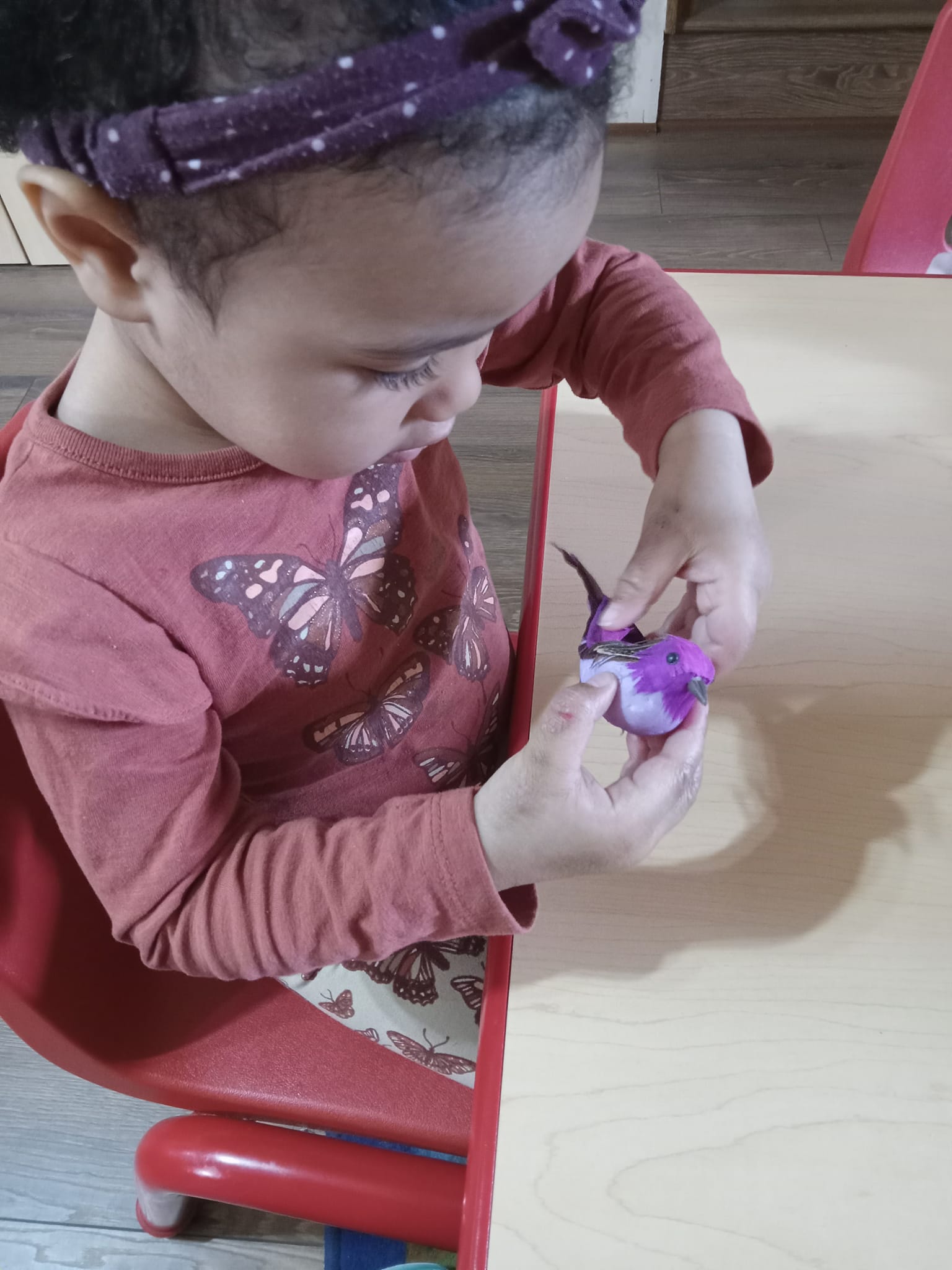 Child's Heart Early Learning 's Photo