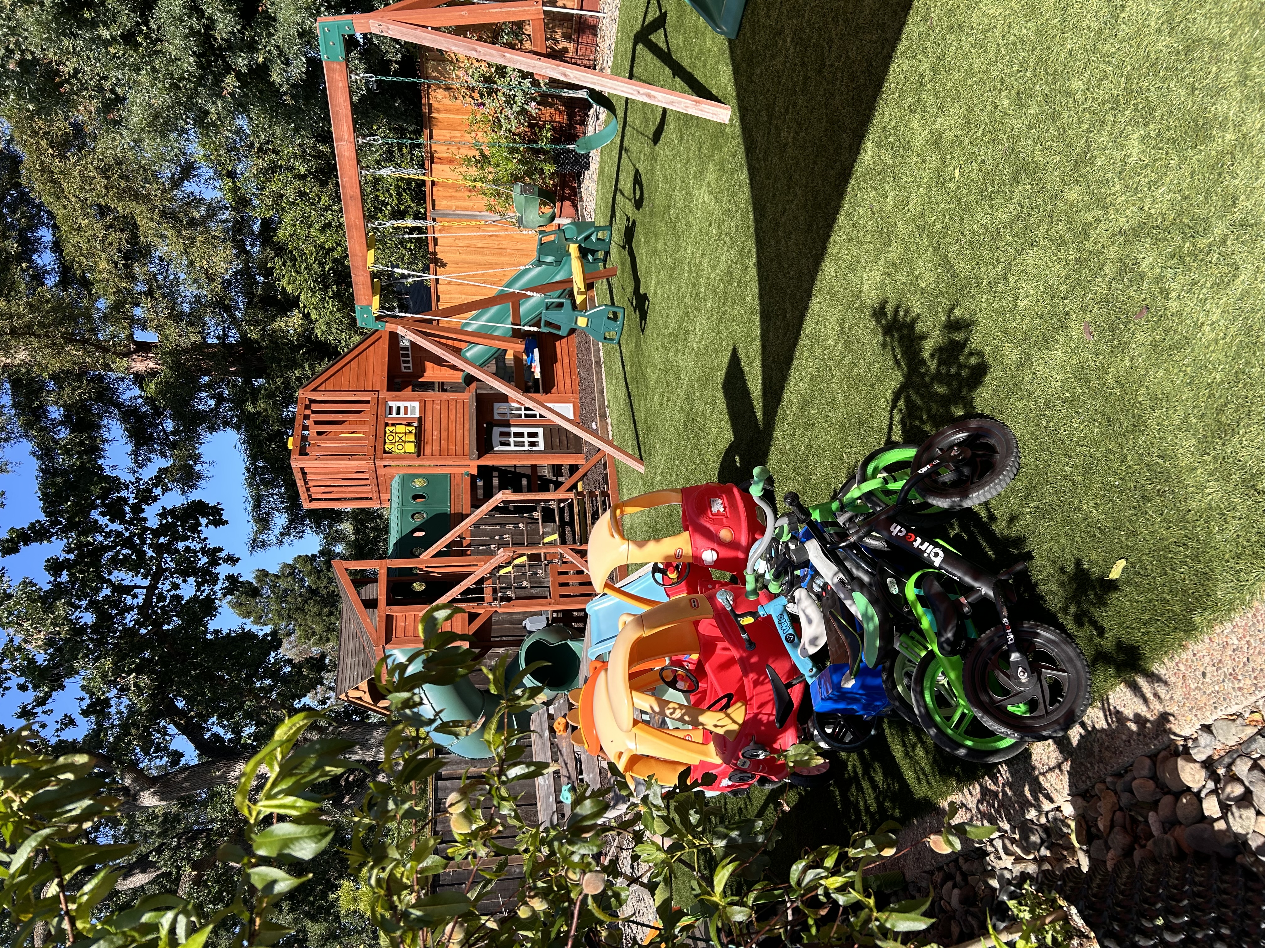 The Learning Forest Academy's Photo