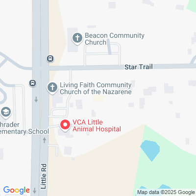 Oak Haven Alf's Photo