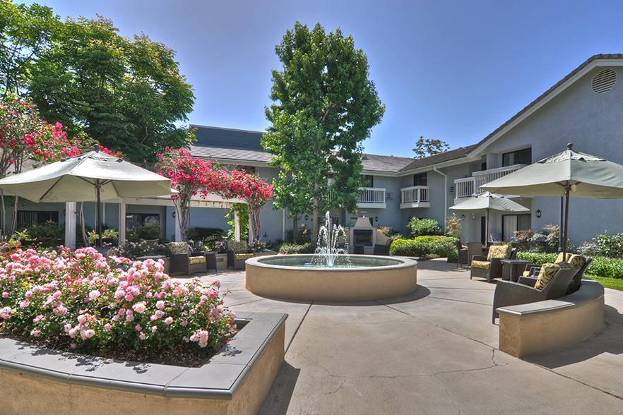 Ivy Park at Bradford's Photo