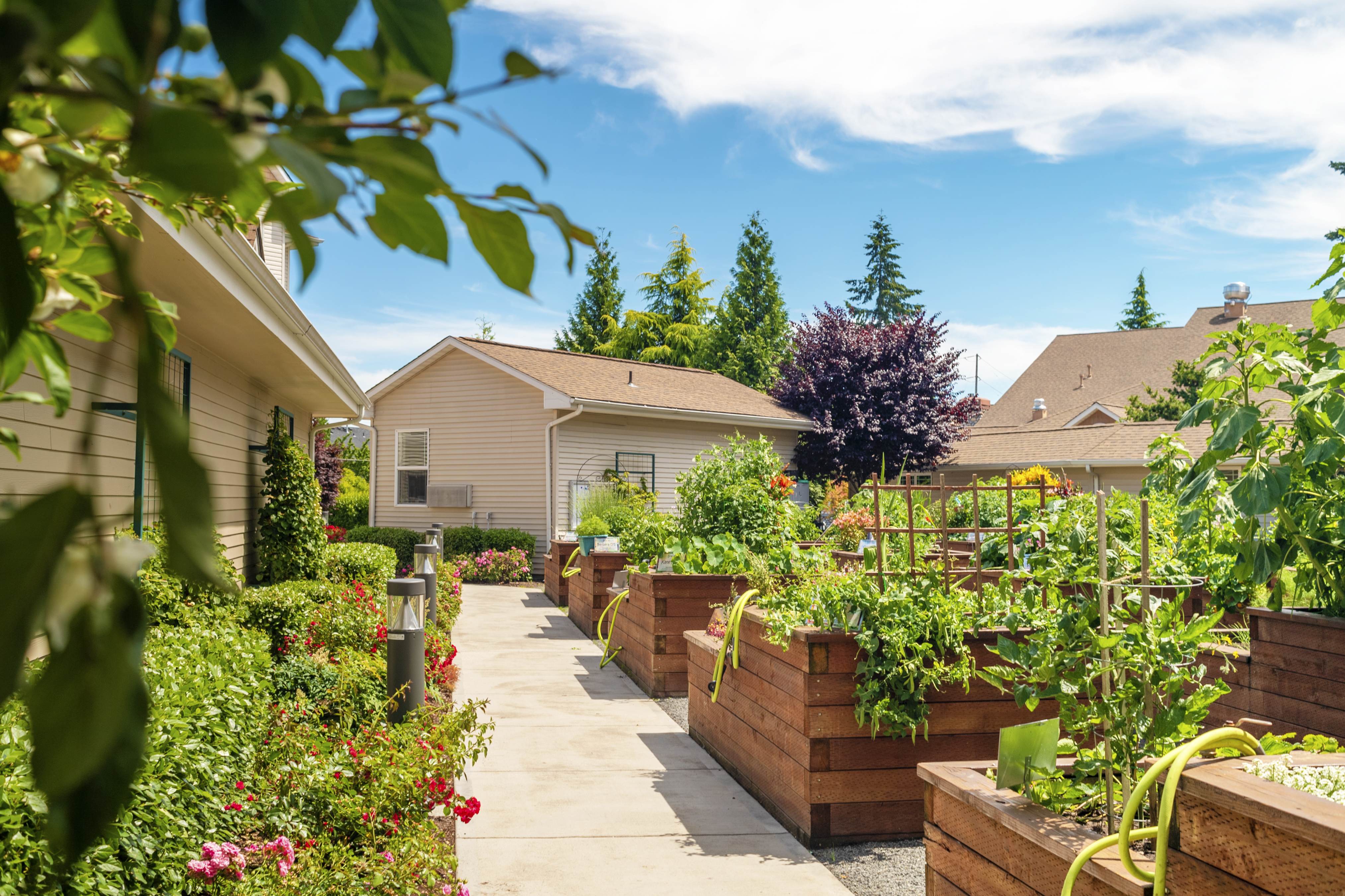 Cogir of Glenwood Place's Photo