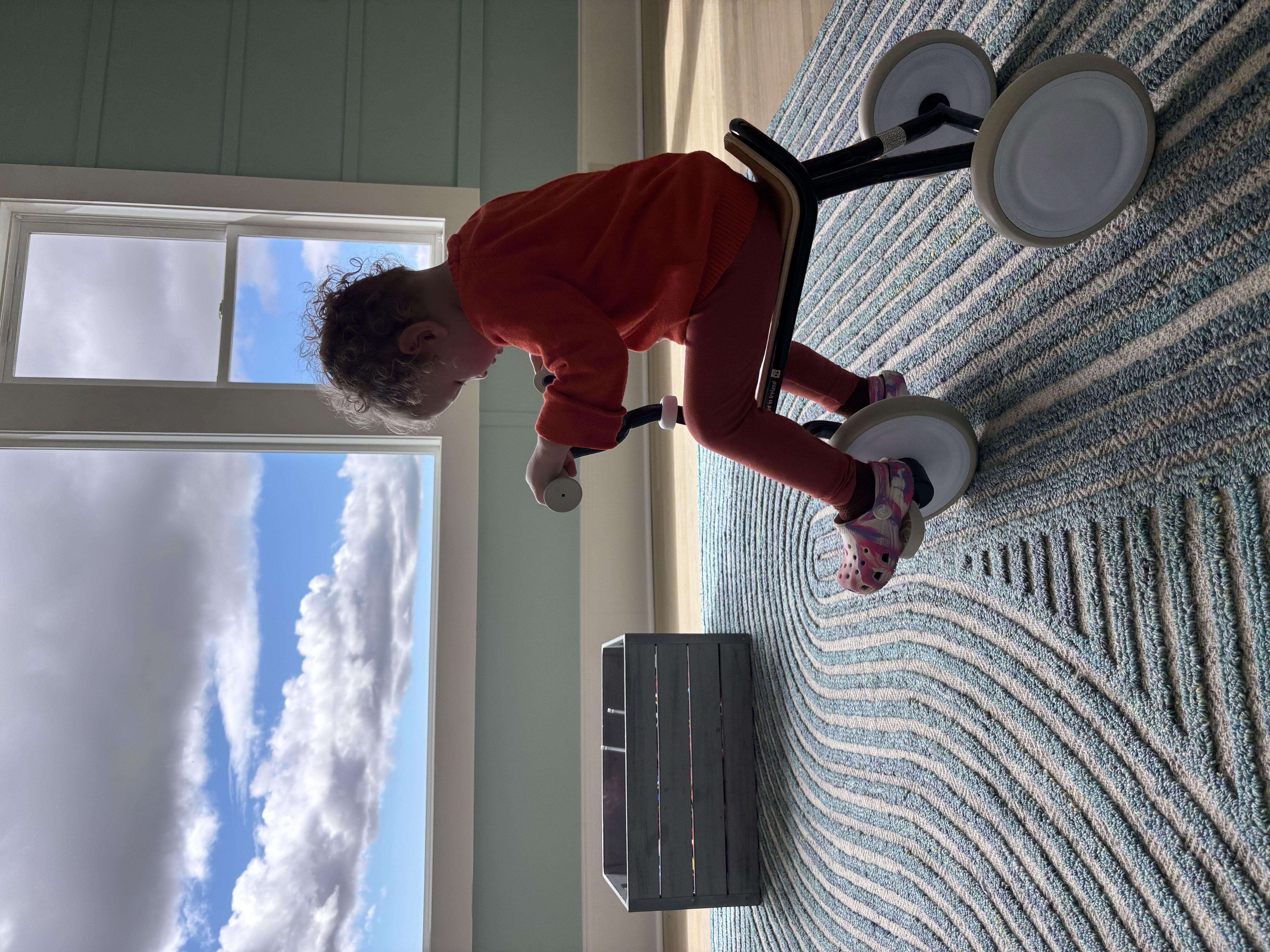 LE PETIT JARDIN's Photo