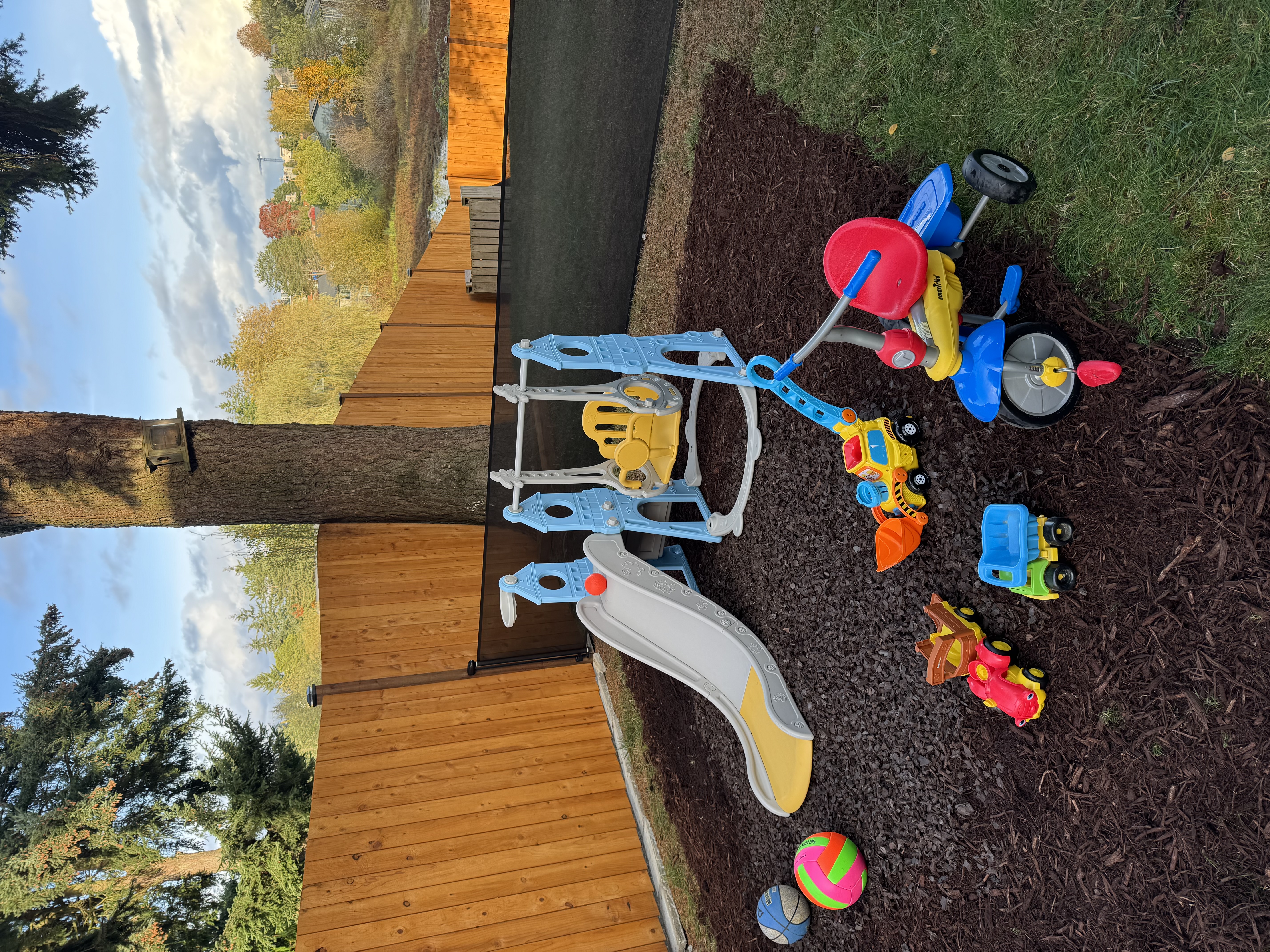 Sound of Birds's Photo