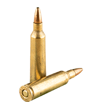 22-250 Ammo 22-250 Ammo icon