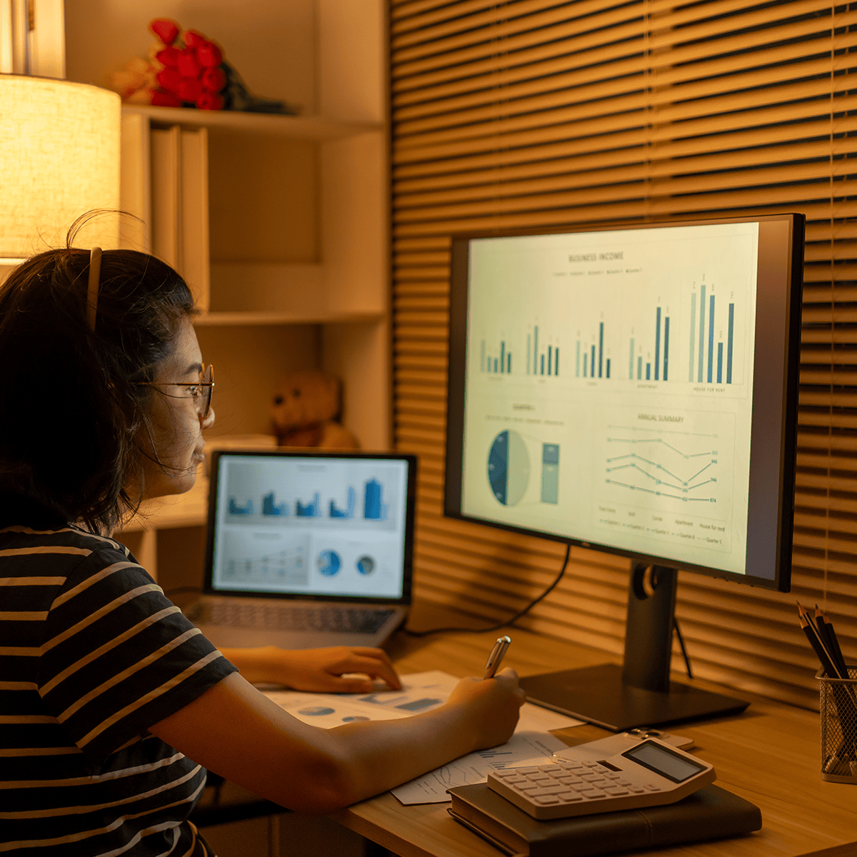 Program Finance and Investment