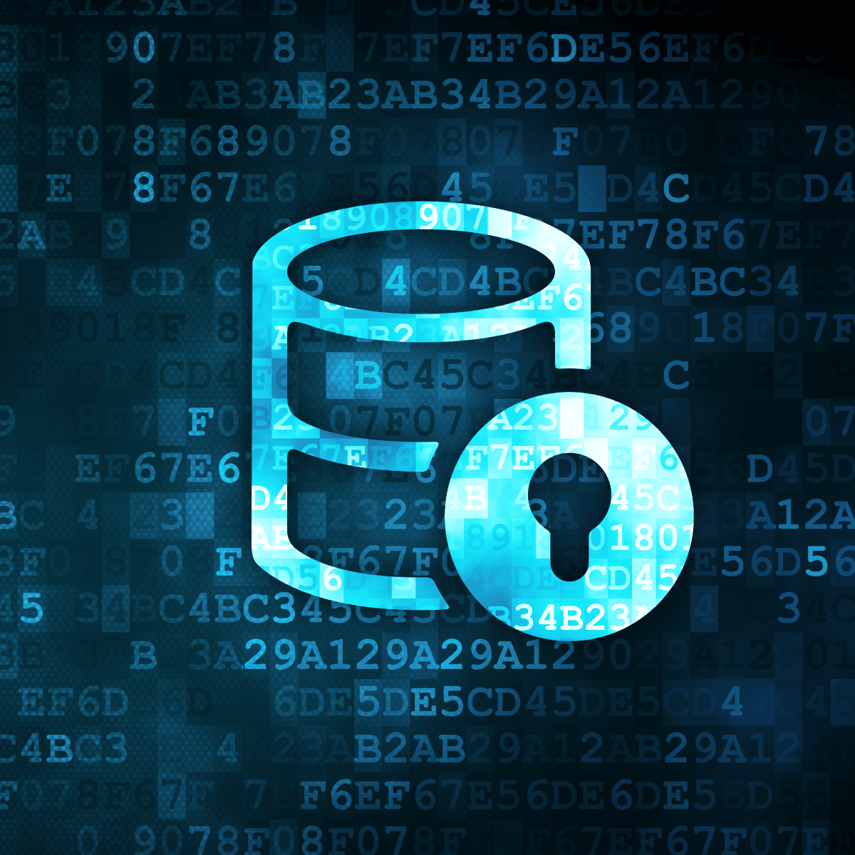 Database Essentials and Vulnerabilities