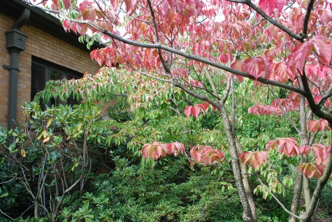 fall-color.jpg
