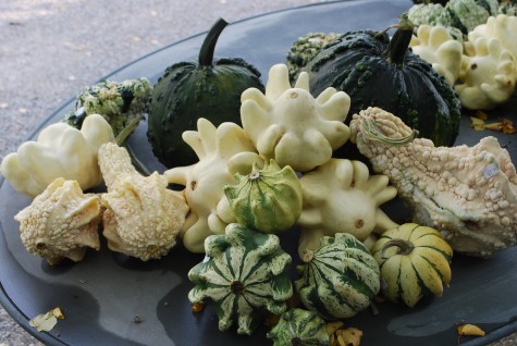 gourds.jpg