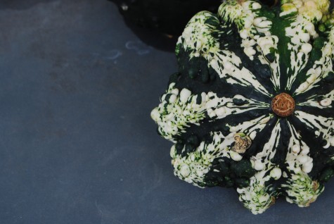 green-and-white-gourd.jpg