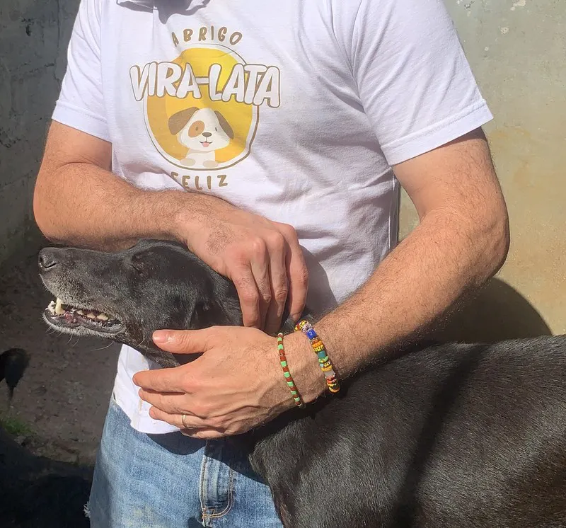 Voluntário com cachorro resgatado no abrigo Vira-Lata Feliz