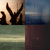 TMC thumbnail