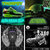 Tony Loco thumbnail