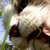 Daniel Leonard thumbnail