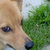 Brian Davis thumbnail