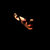 Matwe thumbnail