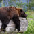 Bearable Beats thumbnail