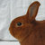 noted friend of rabbit thumbnail