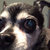 missjulied thumbnail