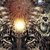 lsdleopard thumbnail
