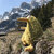 wali.whale thumbnail