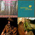 HollandStone thumbnail