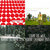 tom_weir thumbnail