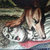 francisco thumbnail