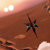 rakiro thumbnail