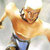 chang9mb thumbnail