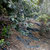 elsnaire thumbnail