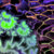mudpeople thumbnail