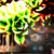 toe2f thumbnail