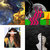 borodeo thumbnail