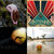 christophlintermans thumbnail
