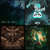 illumattie thumbnail