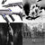 Contrast(DE) thumbnail