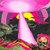 madhu thumbnail