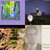 barnabus25 thumbnail