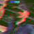 phili.ilihq thumbnail
