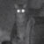 cptbradbury thumbnail