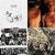 pidel901 thumbnail